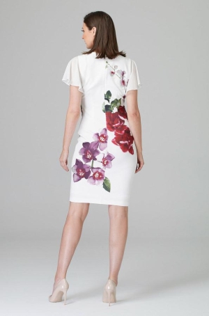 Joseph Ribkoff női ruha