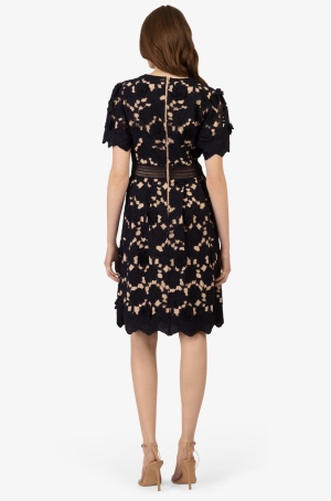 Apart női ruha csipke,rövidujjú,